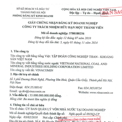 Giấy chứng nhận đăng kí doanh nghiệp, CTY TNHH MTV