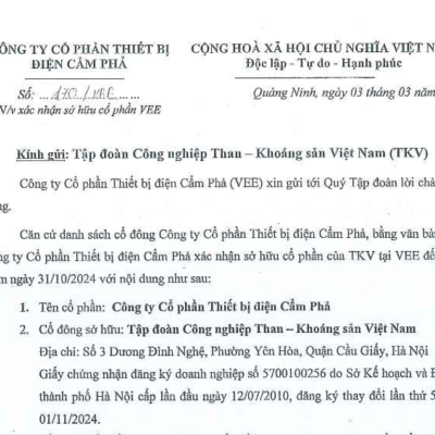 Xác nhận sở hữu cổ phần VEE